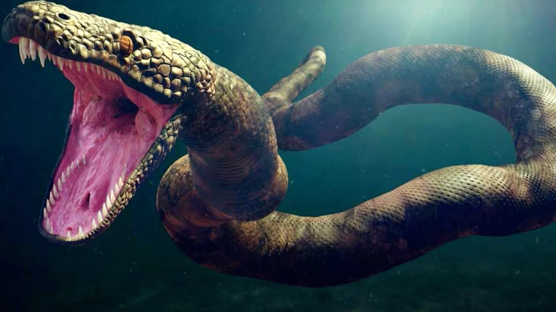 Rendering of the monster snake