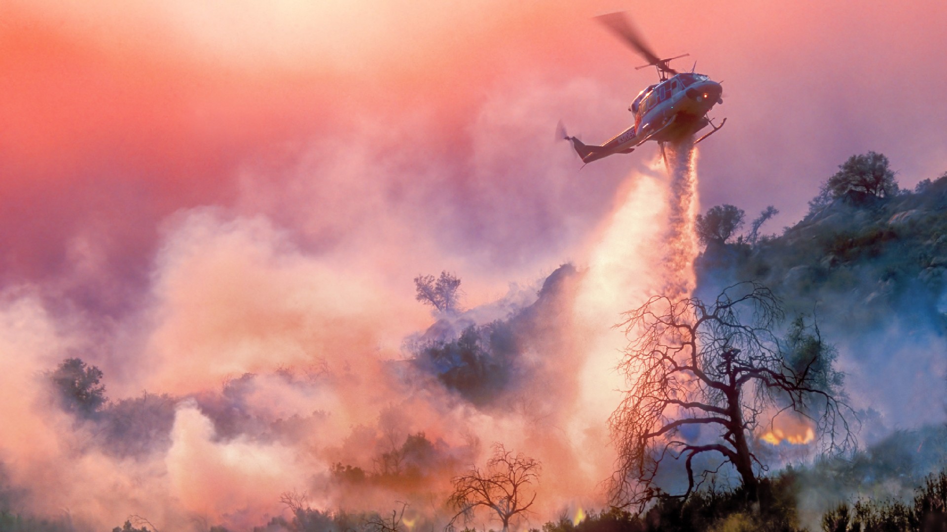 The Biggest Wildfires In Recorded History Sky HISTORY TV Channel the-biggest-wildfires-in-recorded-history-sky-history-tv-channel