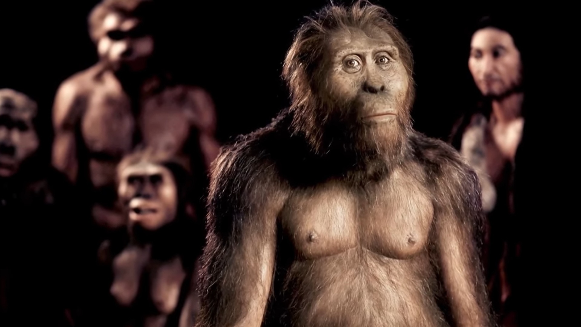 A graphic depicting how humans developed through the ages - there are five different versions visible, with one prominent in the middle of the image and four others in soft focus behind.