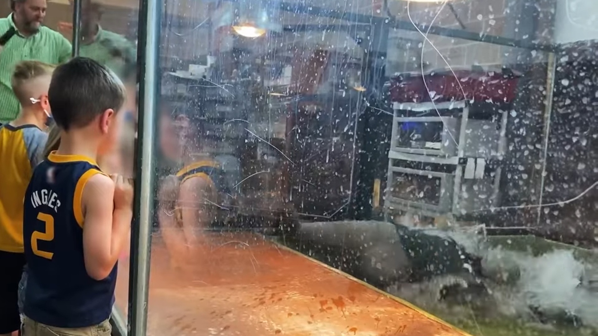 Children watch through a scratched glass enclosure as an adult inside struggles with an alligator in a water-filled tank, during what appears to be a kids’ birthday event.