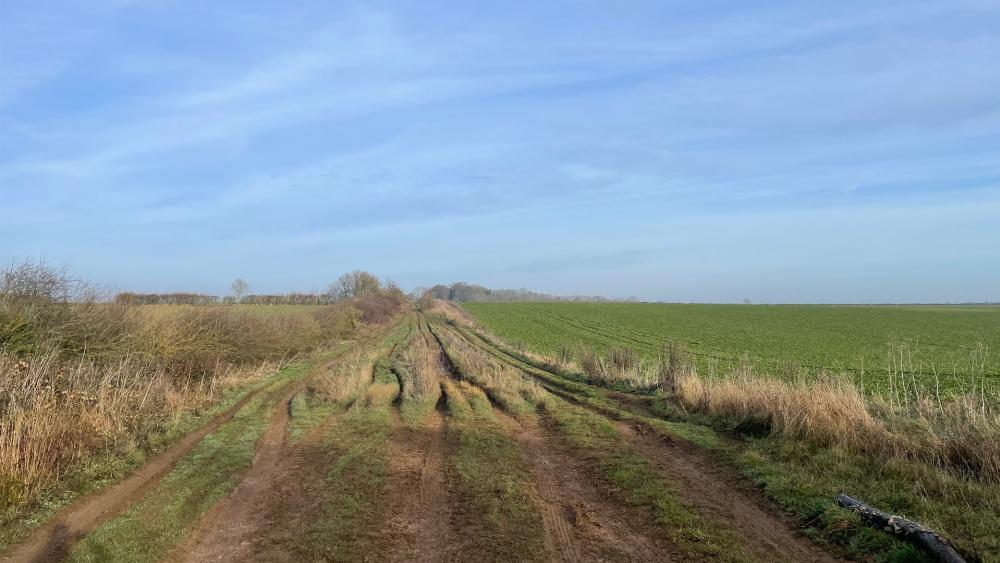 Muddy tracks through a field