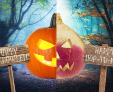 A stock image of a carved pumpkin and turnip with two signs reading 'Happy Halloween' and 'Happy Hop-tu-Naa'