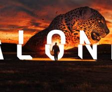 ALONE - A man walking in the desert with a huge leopard looming over him on the horizon