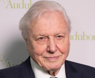 Sir David Attenborough