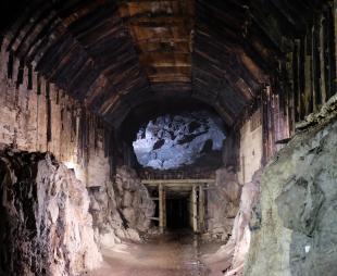 The Riese tunnel complex