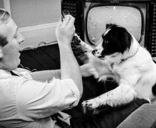 Pickles the Dog with his owner