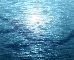 Silhouette of a sea monster below the surface of the water