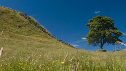 england haunted in A photograph of a section of Hadrian's wall, Northumberland, UK