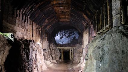 The Riese tunnel complex