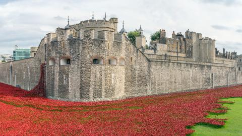 Sky HISTORY - Remembrance Day