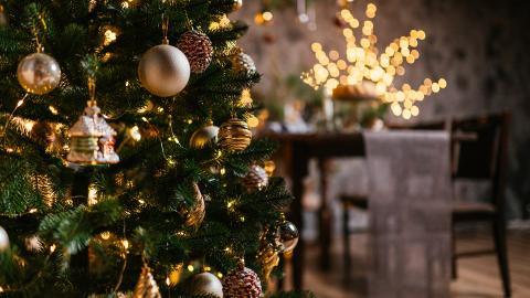 A festive scene. A Christmas tree covered in decorations.
