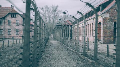 Sky HISTORY - Holocaust Memorial Day