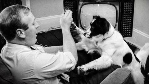 Pickles the Dog with his owner