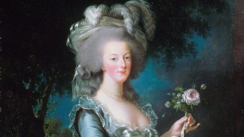 Portrait of Marie Antoinette