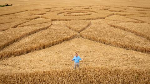 Bradley Walsh standing in a crop circle