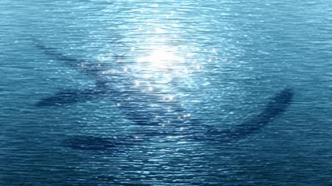 Silhouette of a sea monster below the surface of the water