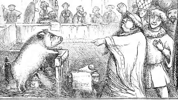 Illustration from Chambers Book of Days depicting a sow on trial 