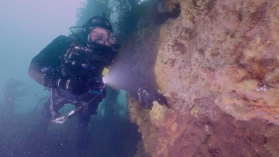 Ross Kemp submerged swimming next to the deck of a Royal Navy wreck