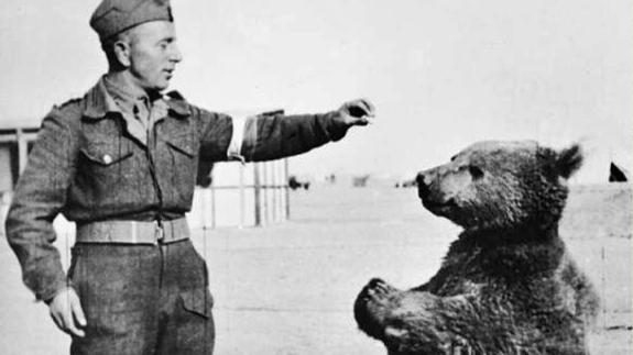 Wojtek the bear with a Polish soldier