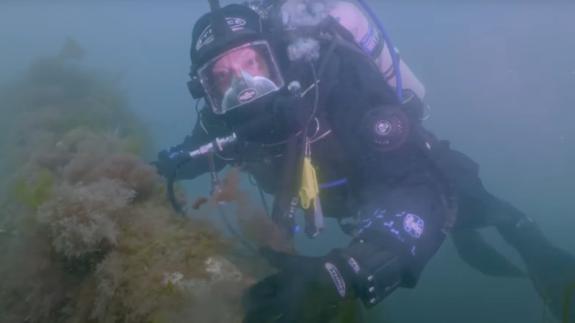 Ross Kemp diving on a shipwreck