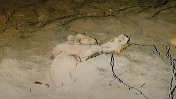 A body buried in a sand cave