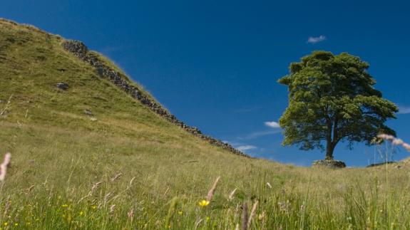 A photograph of a section of Hadrian's wall, Northumberland, UK