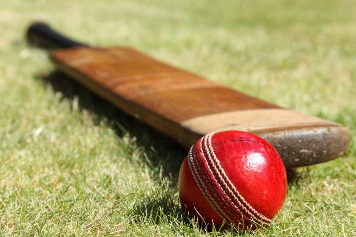 Cricket bat and ball