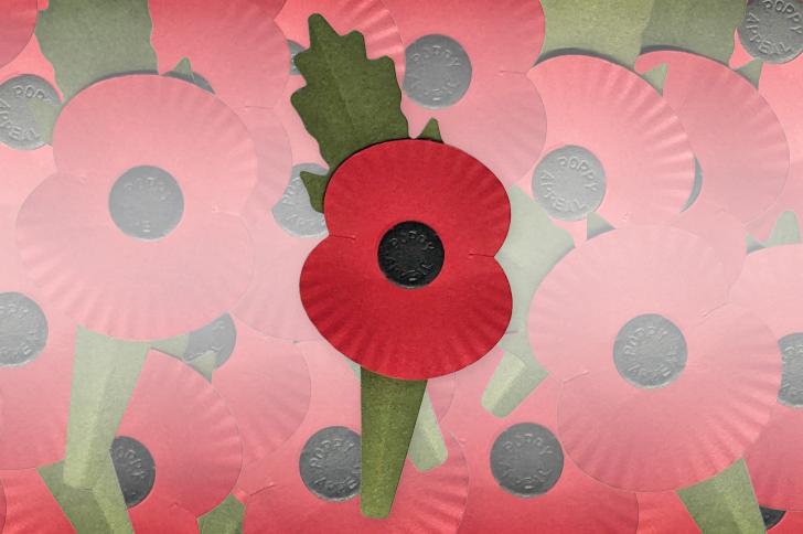 A photograph of the new Royal British Legion paper poppy