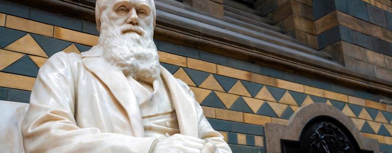 A statue of Charles Robert Darwin at the Natural History Museum in London.