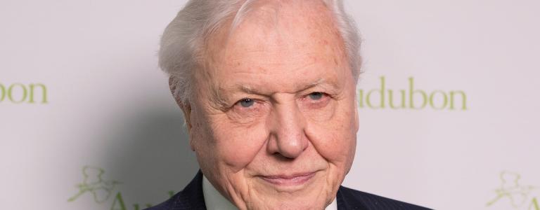 Sir David Attenborough